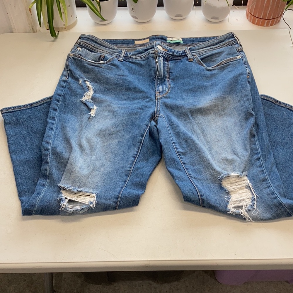 Classic Blue Distressed Women Jeans